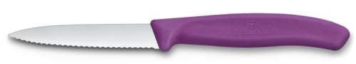 victorinox 6.7635.c1.png