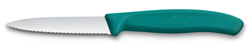 victorinox 6.7634.c1.png