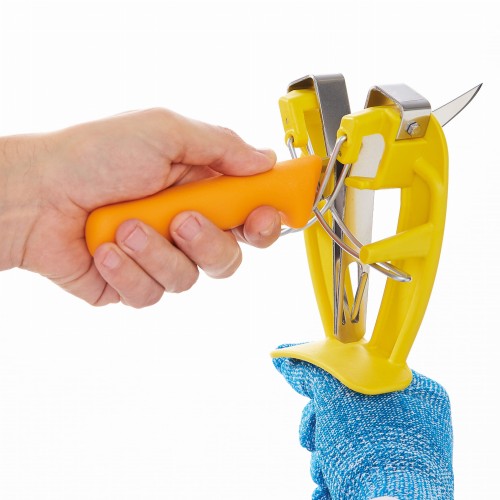 SHARP_EASY_2_300.jpg