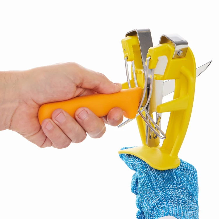 SHARP_EASY_3_300.jpg