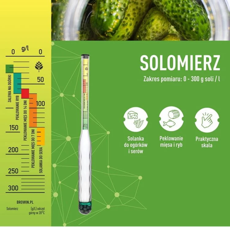 solomierz 405655 e.JPG