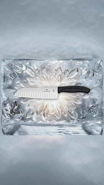 victorinox sanotku c.jpg