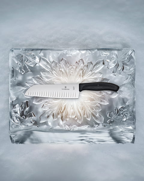 victorinox sanotku d.jpg