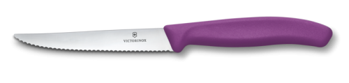 VICTORINOX 6.7235.C1.png