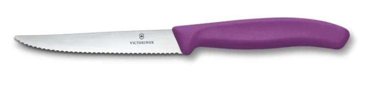 VICTORINOX 6.7235.C1.png
