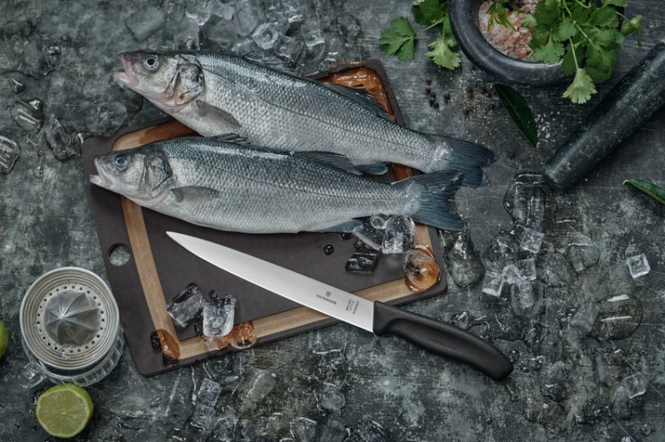 fish.jpg