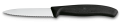 victorinox 6.7633.png