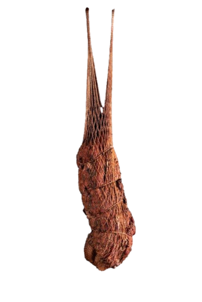 HangNet 260_28_10_1_600.png