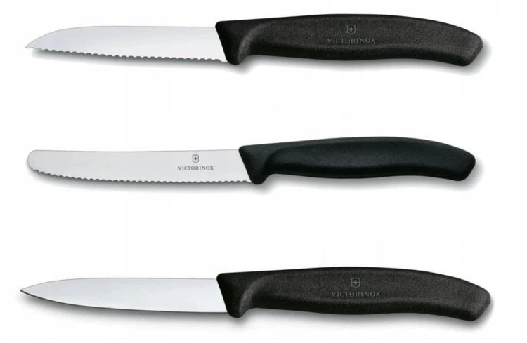 victorinox_6.7113.3.JPG