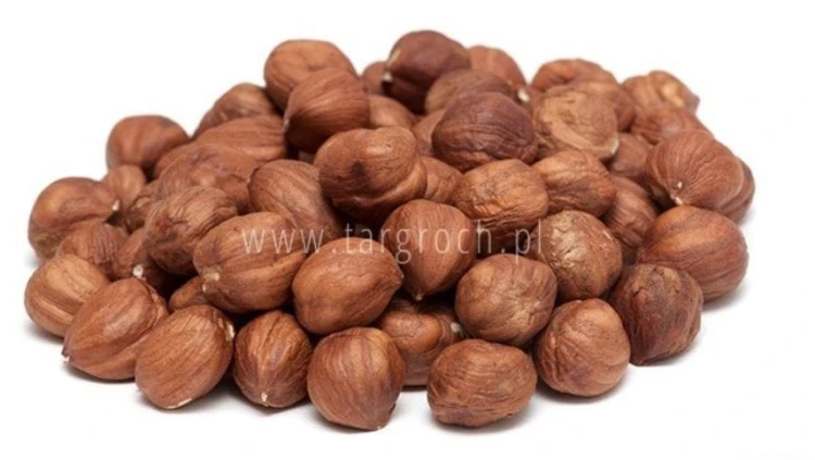 orzechy_laskowe.JPG