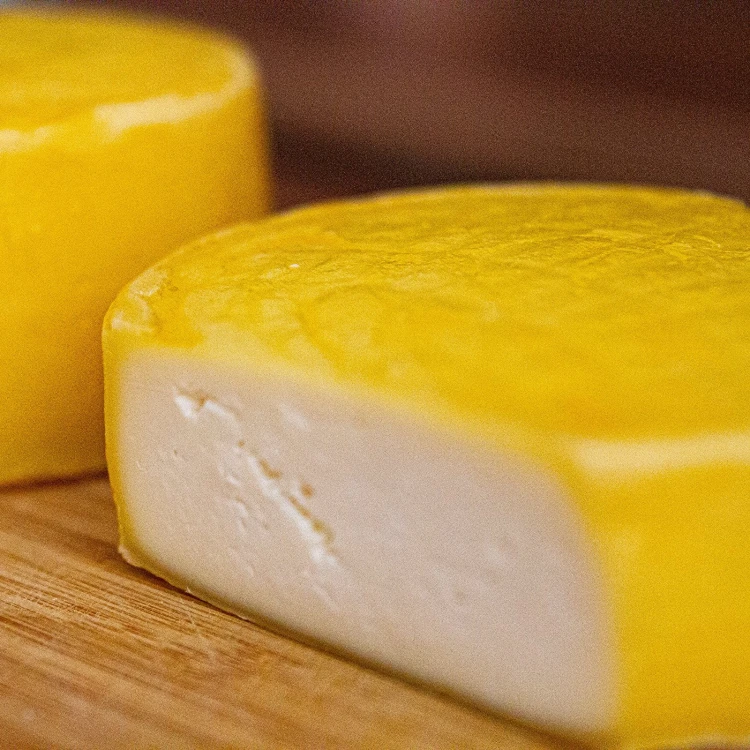 kultury-bakterii-do-sera-gouda-411242_2.jpg