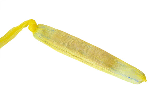 jelita 01m.jpg