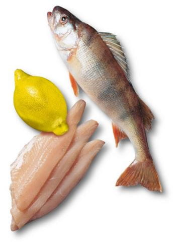 fish.JPG