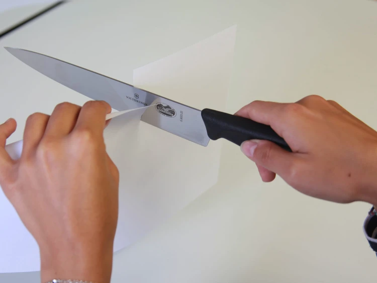 CUT_6-8003-22_B1.jpg