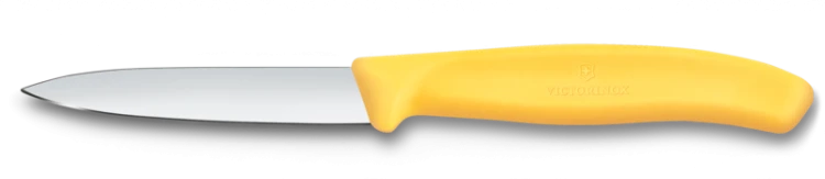 VICTORINOX 6.7608.C1.png